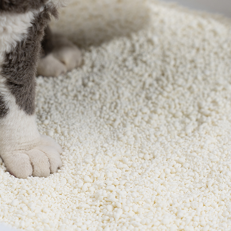 トウモロコシのリターの安全性、長所と短所、そして猫の飼い主にとって最適な代替品