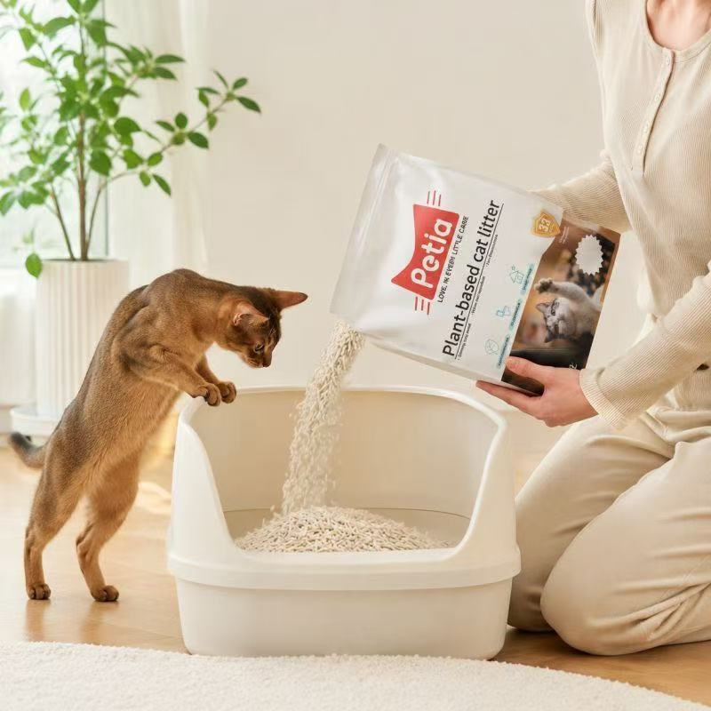 多頭飼い家庭の猫砂の3大課題（臭い、使用量、掃除頻度）
